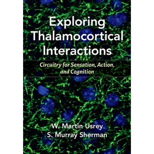 Exploring Thalamocortical Interactions: Circuitry for Sensation, Action, and Cognition