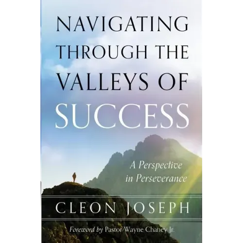 Navigating Through The Valleys Of Success: A Perspective In Perseverance