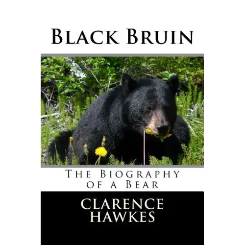 Black Bruin