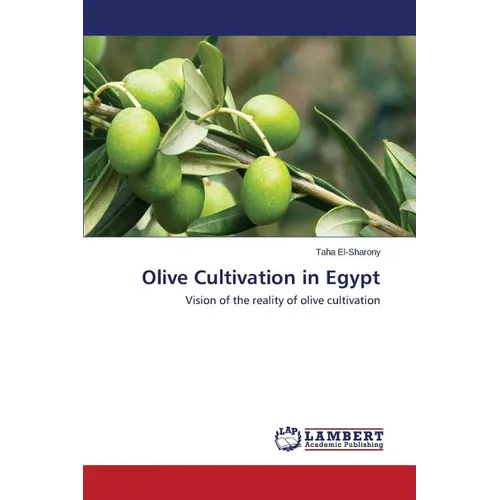 Olive Cultivation in Egypt