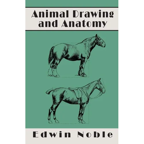 Animal Drawing and Anatomy