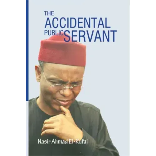 The Accidental Public Servant
