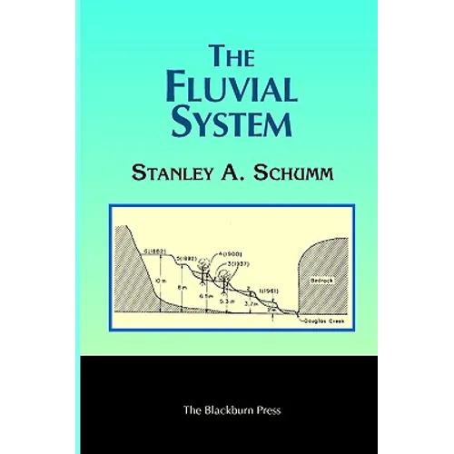 The Fluvial System