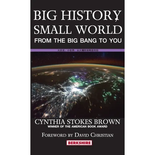 Big History, Small World: From the Big Bang to You