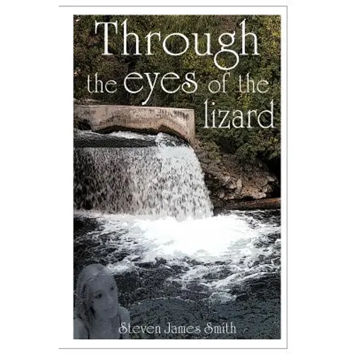 Through the Eyes of the Lizard