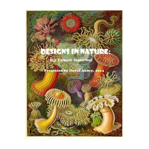 Designs in Nature: the incredible art of Ernst Haeckel