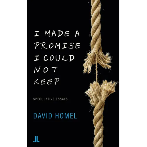 I Made a Promise I Could Not Keep: Speculative Essays