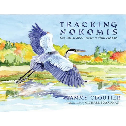 Tracking Nokomis