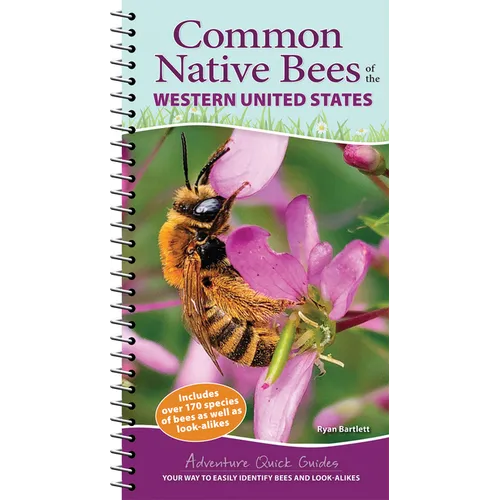 Common Native Bees of the Western United States: Your Way to Easily Identify Bees and Look-Alikes
