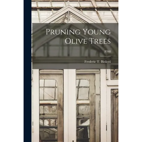 Pruning Young Olive Trees; B348
