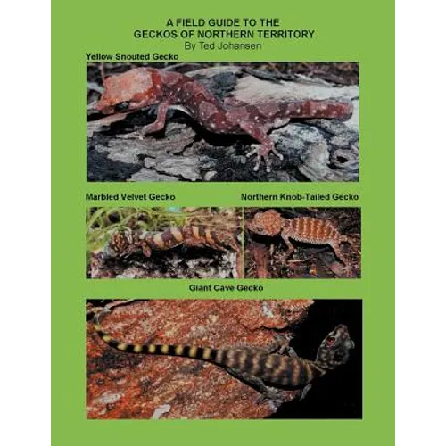 A Field Guide to the Geckos of Northern Territory