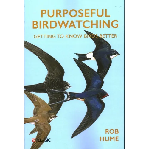 Purposeful Birdwatching: Getting to Know Birds Better