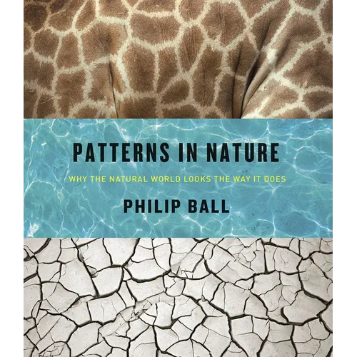 Patterns in Nature: Why the Natural World Looks the Way It Does