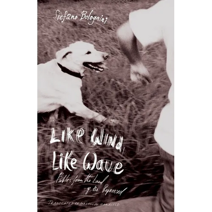 Like Wind, Like Wave - Paperback