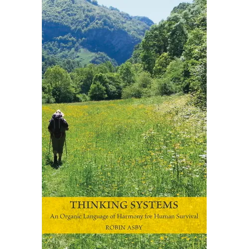 Thinking Systems