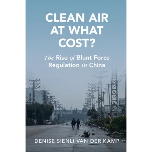Clean Air at What Cost?