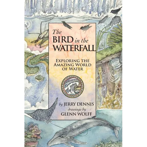 The Bird in the Waterfall: Exploring the Wonders of Water