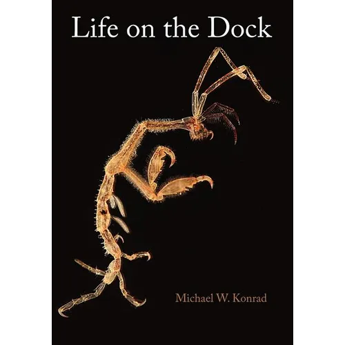Life on the Dock