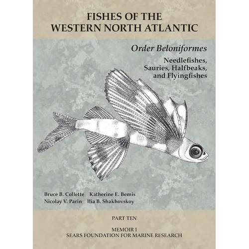 Order Beloniformes: Needlefishes, Sauries, Halfbeaks, and Flyingfishes: Part 10